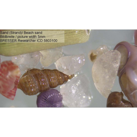 bresser-researcher-icd-led-20x-80x-professional-microscope_4