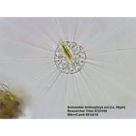 bresser-researcher-trino-40-1000x-professional-microscope_4