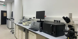 6fd84d_15df726334ec4b1181ab4054116ba263mv2